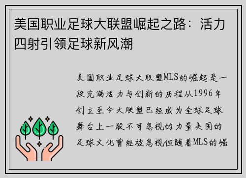 美国职业足球大联盟崛起之路：活力四射引领足球新风潮